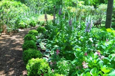 Inspiration for a mid-sized traditional backyard mulch garden path in Jackson.