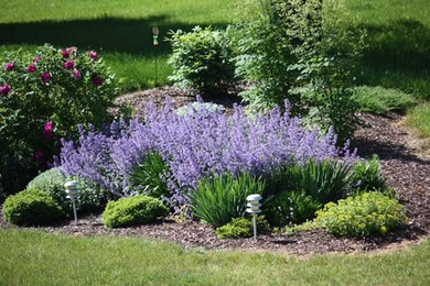 This is an example of a mid-sized contemporary full sun backyard mulch formal garden in Other for spring.