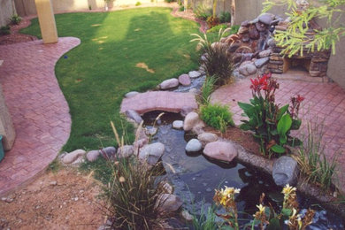 Design ideas for a backyard water fountain landscape in Phoenix.