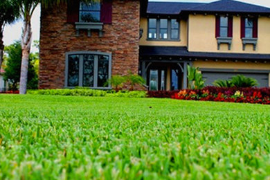 Inspiration for a large full sun front yard landscaping in Tampa.