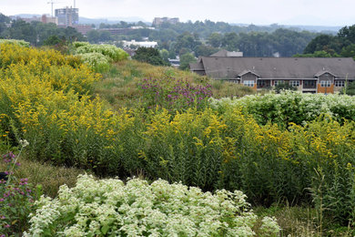 This is an example of a large modern full sun rooftop landscaping in Other for summer.