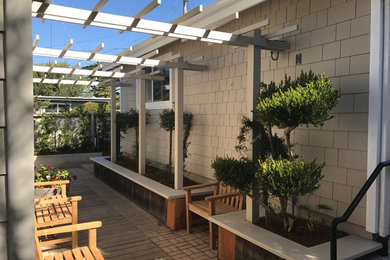 Modelo de jardín de estilo americano de tamaño medio en patio lateral con exposición parcial al sol y adoquines de ladrillo