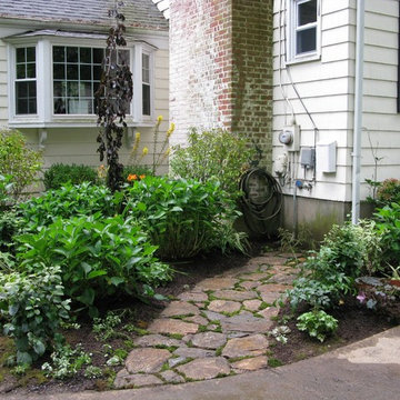 Garden and Path
