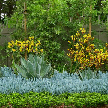 Garden Architecture/Robert Trachtenberg