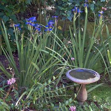 Garden Bird Bath