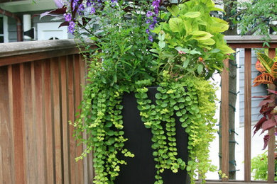 Garden Containers