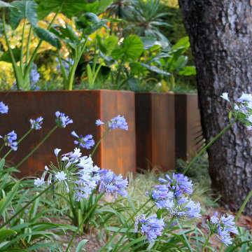 Garden Design Cap Ferrat | Dynamiques contemporaines dans un cadre subtropical