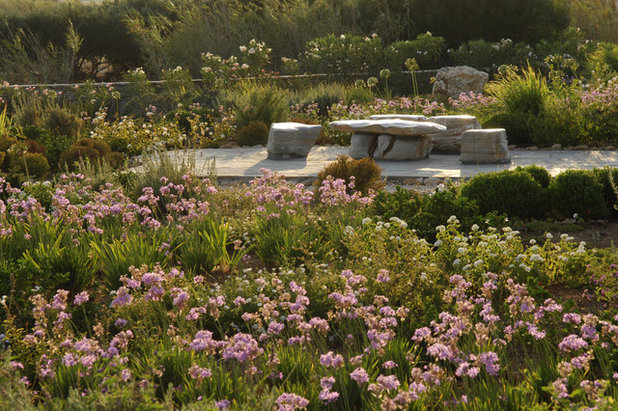 Mediterran Garten by Carolyn Chadwick