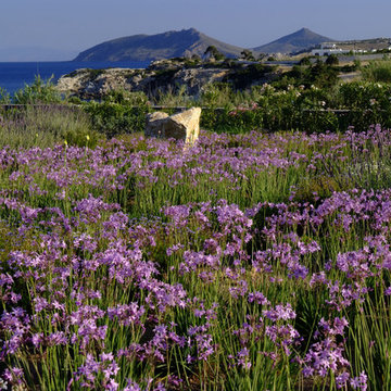 Garden design in Greece on the island of Paros