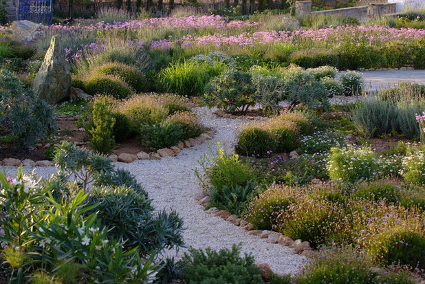 Mediterran Garten by Carolyn Chadwick