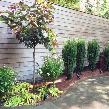Garden Design with Curved Patio Beds for Backyard in New York, NY
