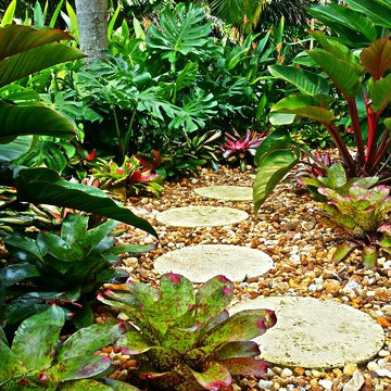 Garden Designs