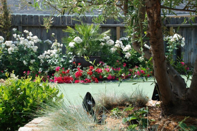 Photo of a transitional landscaping in Other.