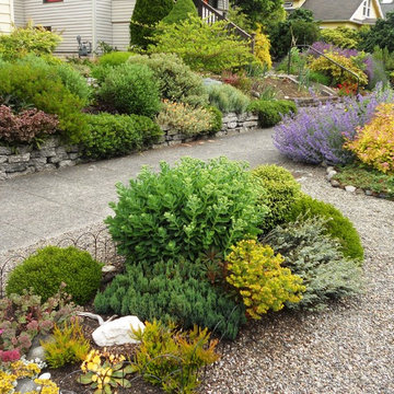 Garden for a Pisces
