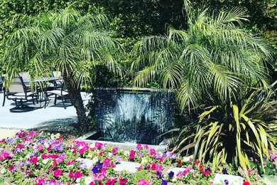 ロサンゼルスにあるコンテンポラリースタイルのおしゃれな庭の写真