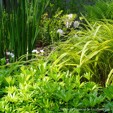 Garden in the Woods