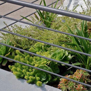 Garden Landscape peeks through Steel Fencing