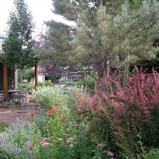 Design ideas for a mid-sized eclectic drought-tolerant and partial sun front yard stone landscaping in Denver for fall.