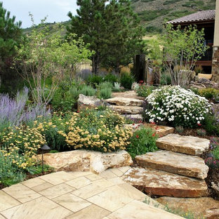 Immagine di un giardino xeriscape mediterraneo esposto in pieno sole in estate con un ingresso o sentiero, un pendio, una collina o una riva e pavimentazioni in pietra naturale