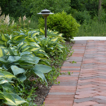 Garden Path Lined With Hosta