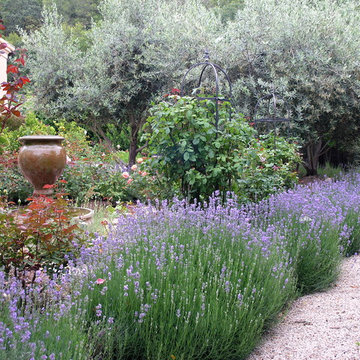 Garden Paths and Landscape Steps