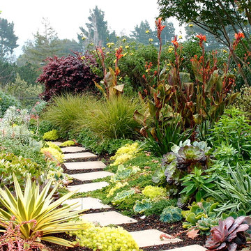 Garden Paths and Landscape Steps