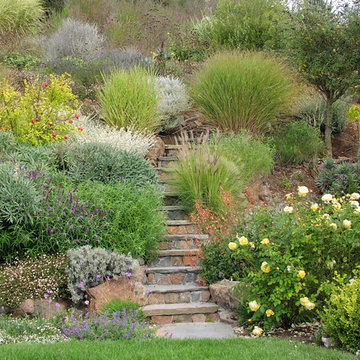 Garden Paths and Landscape Steps