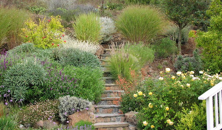 Sloping Garden? Here’s How to Make it Work