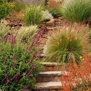 Garden Paths and Landscape Steps