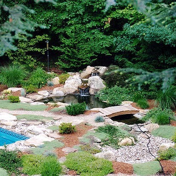 Garden pond and waterfall