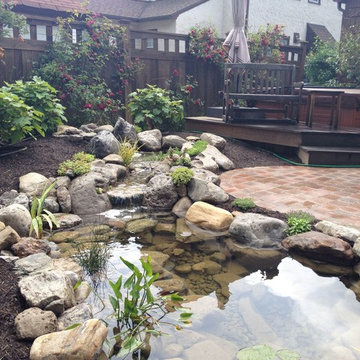 Garden Ponds, Fish Ponds, Koi Ponds, Monroe County, Rochester NY by Acorn