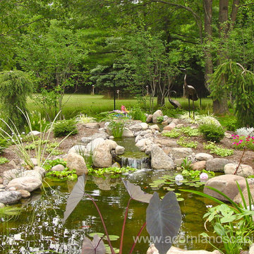 Garden Ponds, Fish Ponds, Koi Ponds, Waterfall Ponds Rochester NY by Acorn