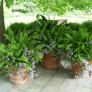 Garden Pot Design, Wilmette, Illinois