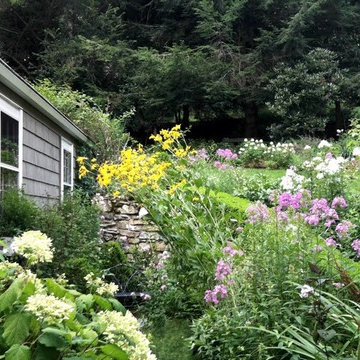 Garden Services & Lawn Maintenance