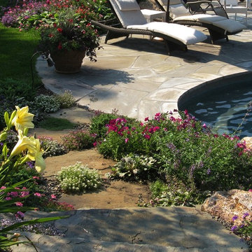 Garden Steppers, Plantings & Swimming Pool