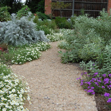 Garden update at Ridge Oak