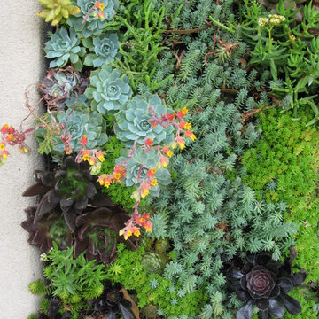 gardencrest