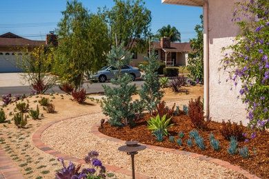 Imagen de jardín de secano de estilo americano de tamaño medio en patio lateral con exposición total al sol, gravilla y paisajismo estilo desértico