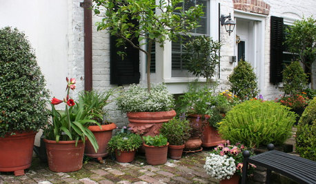 Kreative Gartengestaltung mit Pflanzkübeln und Topfpflanzen