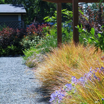 gardening with grasses and gravel paths