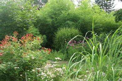 コロンバスにあるエクレクティックスタイルのおしゃれな庭の写真