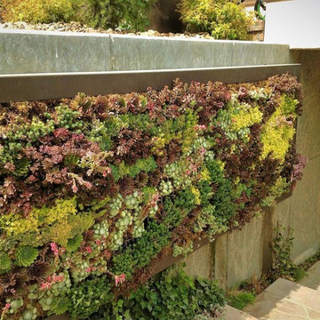 Gardens and Water Features