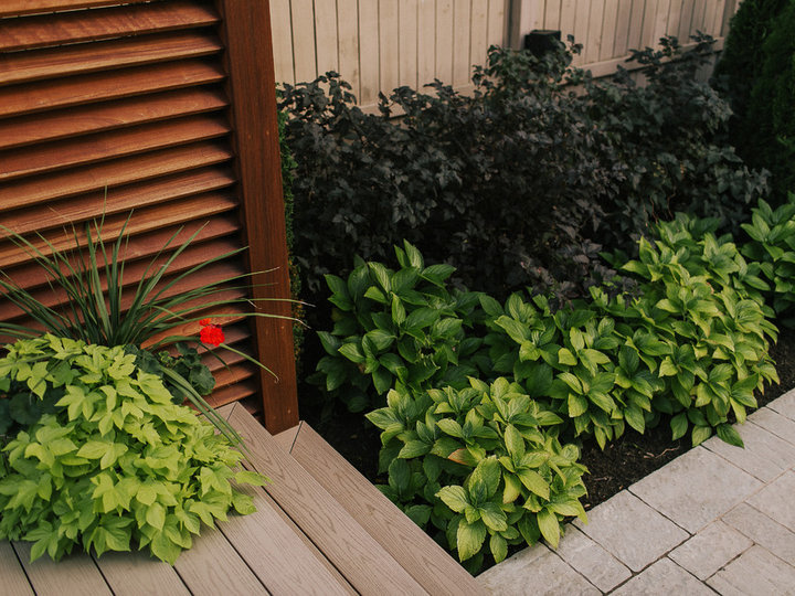 Landscape - Concrete Pavers