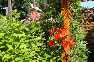 Foto de camino de jardín de tamaño medio en patio trasero con exposición total al sol y adoquines de piedra natural