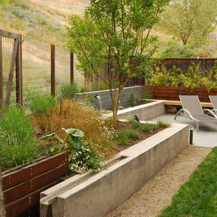 This is an example of a mid-sized modern backyard landscaping in San Francisco.