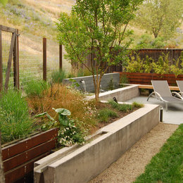 https://www.houzz.com/photos/garnet-residence-modern-landscape-san-francisco-phvw-vp~517000