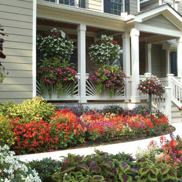 Georgia House Front Yard Makeover
