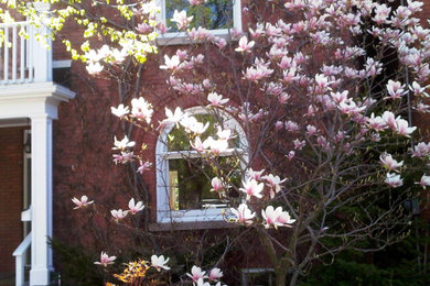 Modelo de camino de jardín de secano tradicional de tamaño medio en primavera en patio delantero con exposición parcial al sol y adoquines de ladrillo