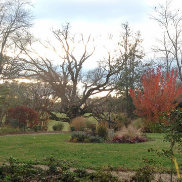 Glendale: 20 years of Soul Conservation, near Somerset, VA