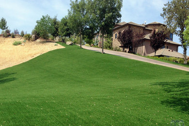 Global Syn-Turf artificial grass Malibu, CA